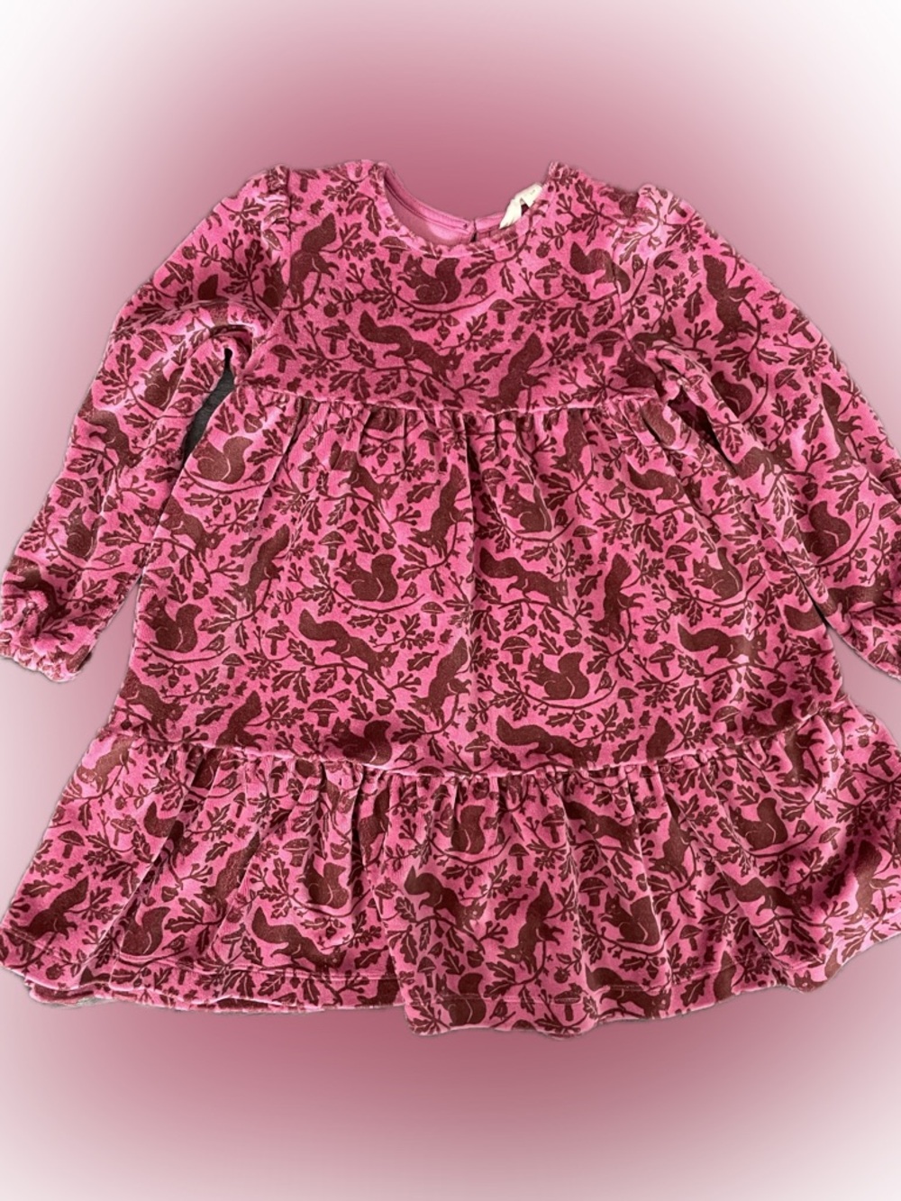 Boden Pink Floral & Squirrel Print Long-Sleeve Dress